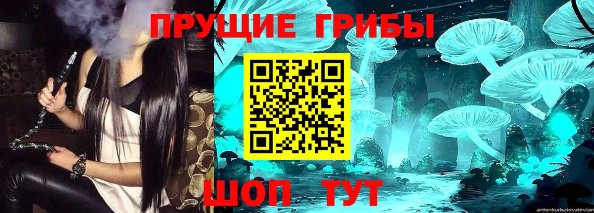 Павловский Посад  Галлюциногенные грибы Magic Shrooms  Вход с VPN 